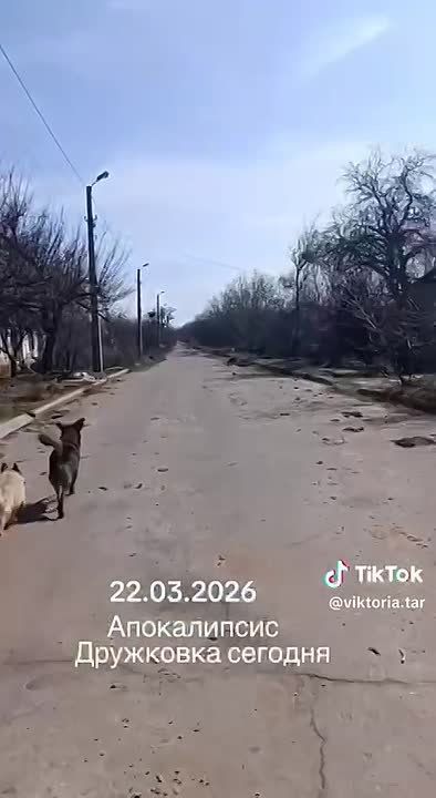 ���������� � ���������. ����� ���������� ������������ � ������