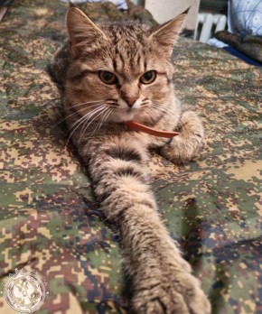 ��� ������: ������� ������ �������