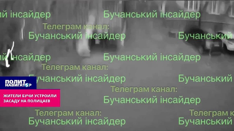 ������ ���� �������� ������ �� ��������