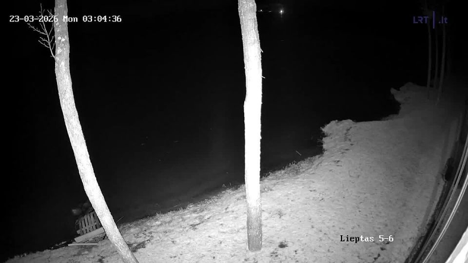 � �����-�� ����! �����������, ������� �� ���������� �����, �������� ����������