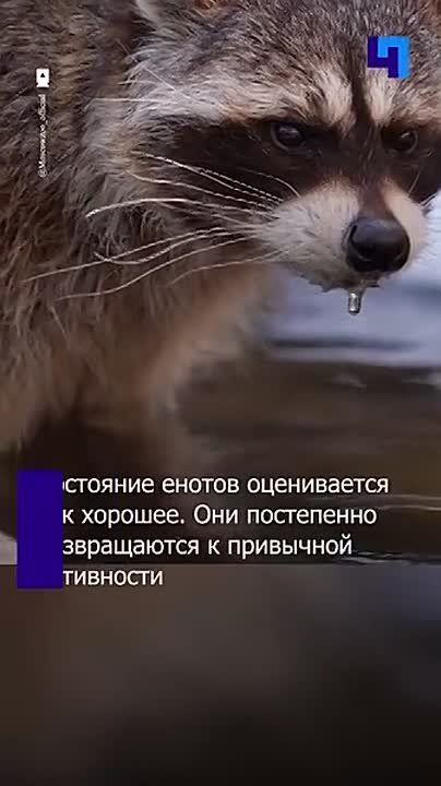 ����� ����������� �������� ���������� ����� ������� ���