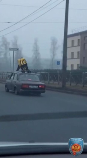 ������� ���� �������� � ����������� � �������: ���������, ���������� ����� �� ����� ����������, ��������� � ��������������� � �����-����������