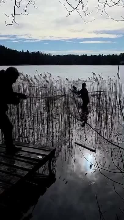 � ��������� ����������� ������ �������� ������