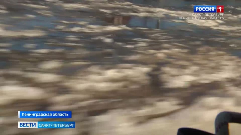 �� ���� ����� ��������� ������ ������� �������� �������