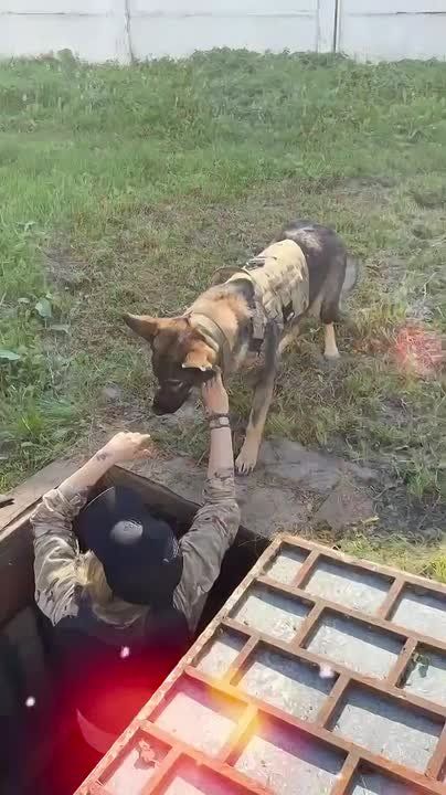 ���˻ � ���� ������� ������!