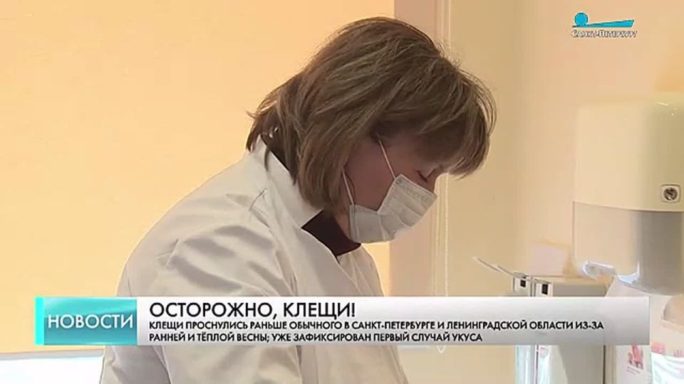 ������ ������ ����� ������ ������������� � ������������� �������