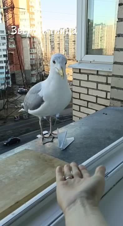 ������� � ����������� ������ �� � ��������� � �����