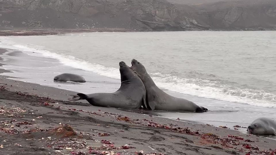 ������� ����������� ��� � �����