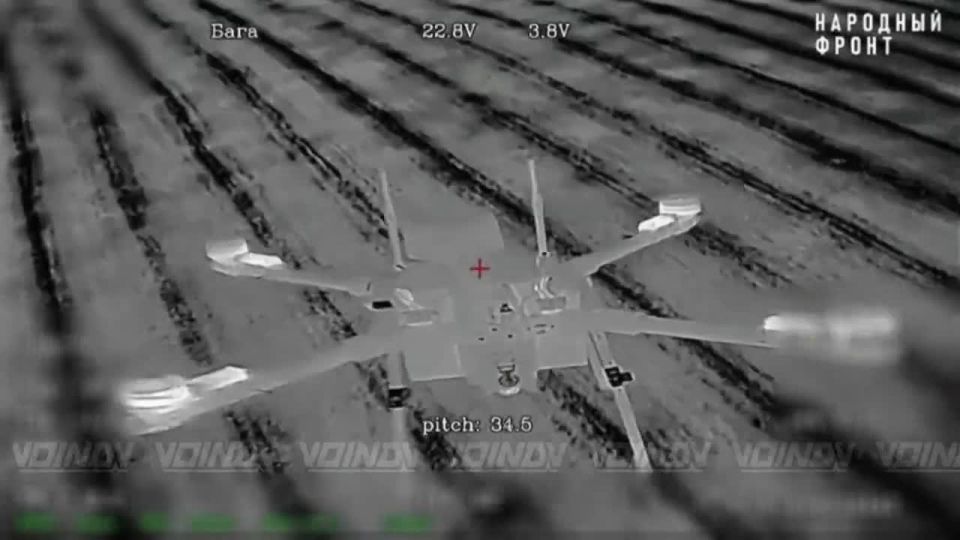 ��������� ���� 14 ����������� ������� �������� ����������� ����� "������" ���������� �� ������ �������� ������� ���, �� � ����� ������������ ������ � �������� ���� ����������