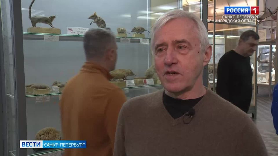 � ����������� ��������� ������� ������� ������� ���������� ������������ ���������