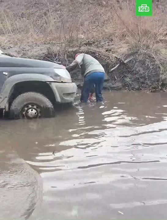 ����� ���������� �������� ������ �� ����������� ����