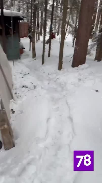 ��� �� ����, �� �� ������: ������� 8 ��� ������ � �����, �������� ��������� ���������������