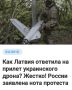 Михаил Онуфриенко: Что делать, если ты латыш и тебя обстреляла Украина?