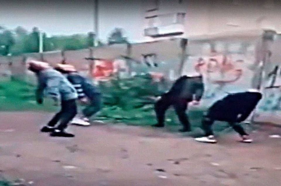 ������ �������: ������ ���������� ����������� �������� ������� ��������� ��������