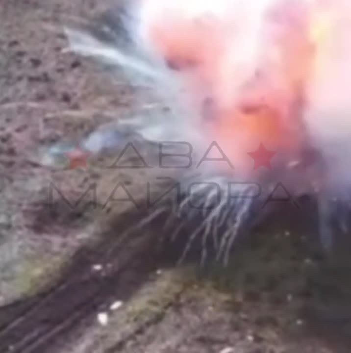 ��� ������: ����������� �����. ����� �.�. ������