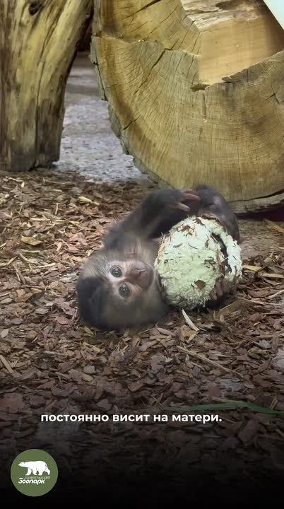 � ������� �� ���������� �����, � ������������� ������ � ������������ ���������� ������� ������� � ������ ������� �������� ������� � �������