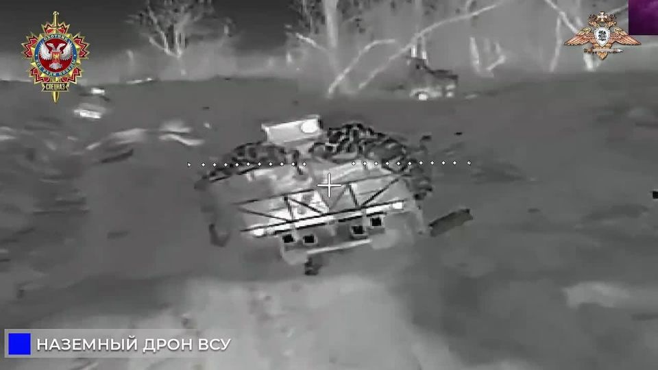 �������� ���������� 4 ���� ��� �� ���������������� �����������