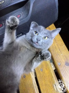 ��� ������: ������� ������ �������