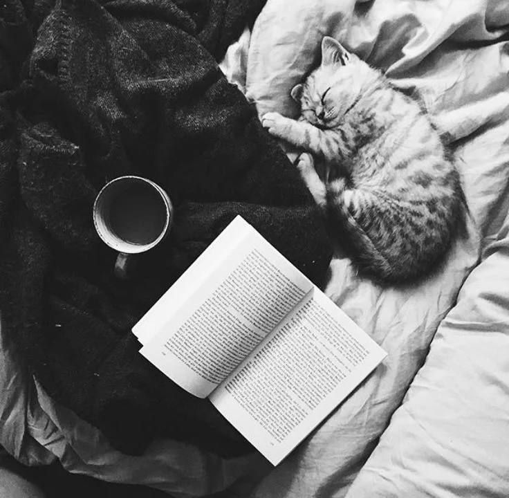 ���� ����: ������� � �����, ���������� ��� ���������� ���������� ������