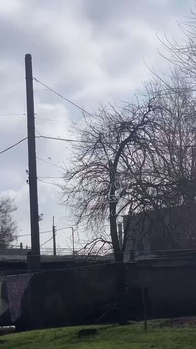 ��� ���� ������ "������" � ������ ����