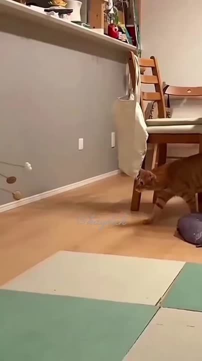 �������, ���� �������� � ���������� �����;)