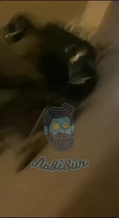 ������ ����������: ���������� ���� ���������� � ������� ��������� ������������� � ���, ��� �� ������� �������� ������������