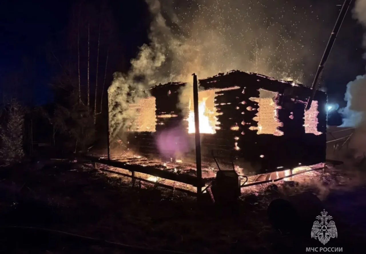 Один человек погиб и два пострадали при пожаре в дачном доме в Тосненском районе