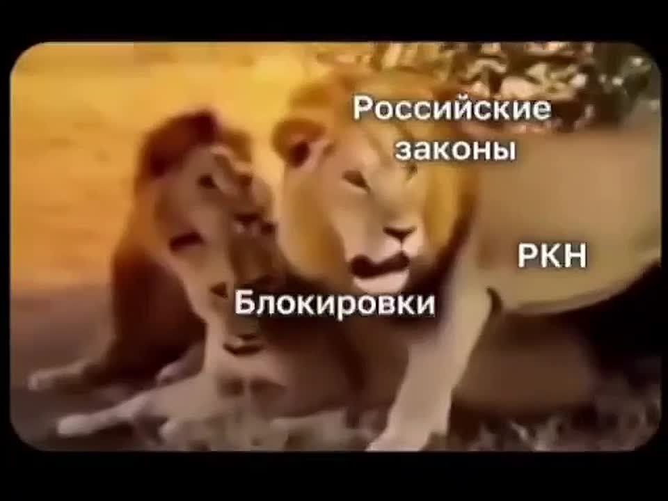 ���� ����: � ���� �����