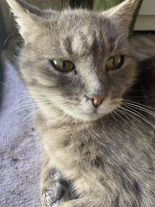 ������� ������: #��� �������� ����. ���� ��������� ������, �����, ��� ������� �� ������, �� ������ ���������� � ���� ��� �� ������