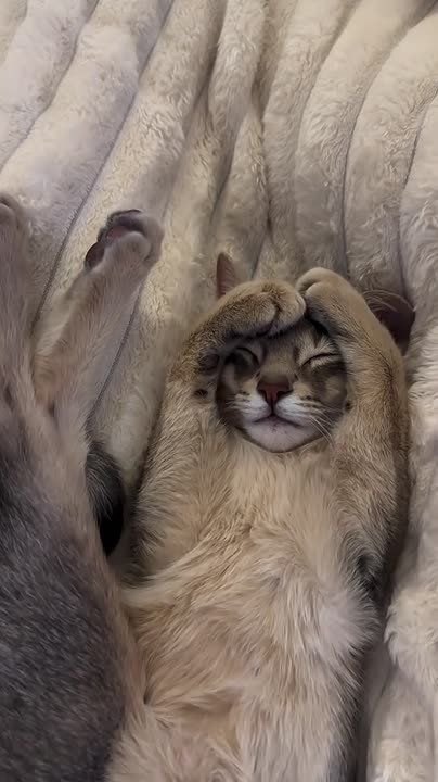 ������� ����� �������, ��� �����