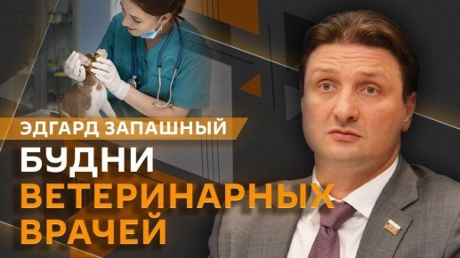 "����� �������" � �������� ��������