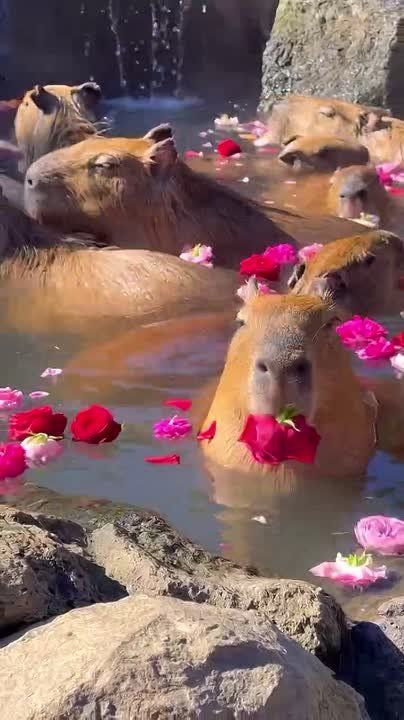 � ������ �� � ���? ������ �� � �� ��� �������� ��������� �������� ����� ����� ������� �������?