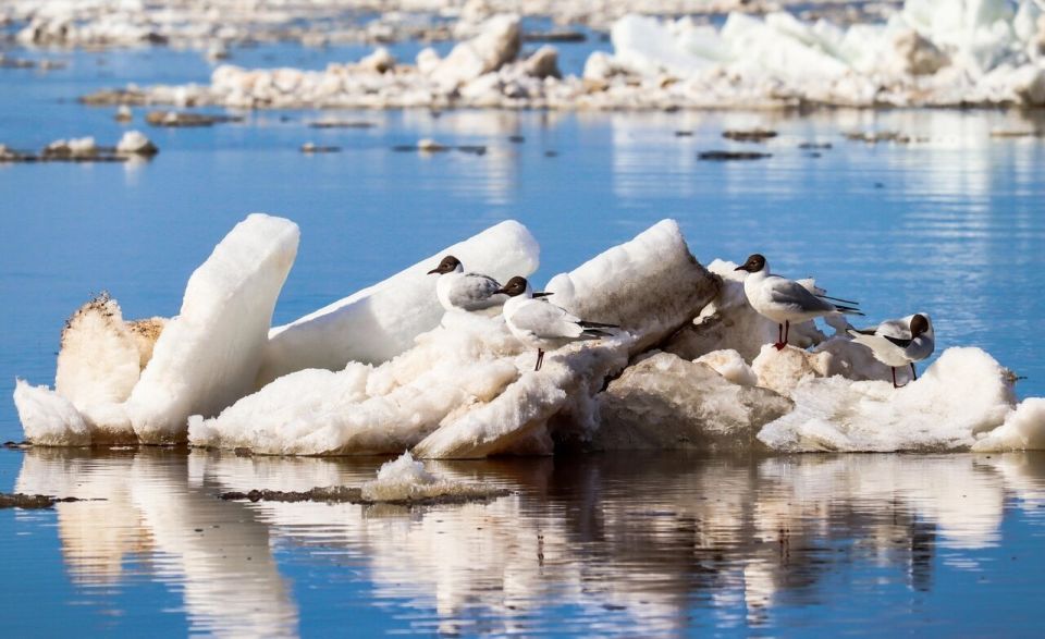 ���� ���. ����� � ������� ������ ������ �����