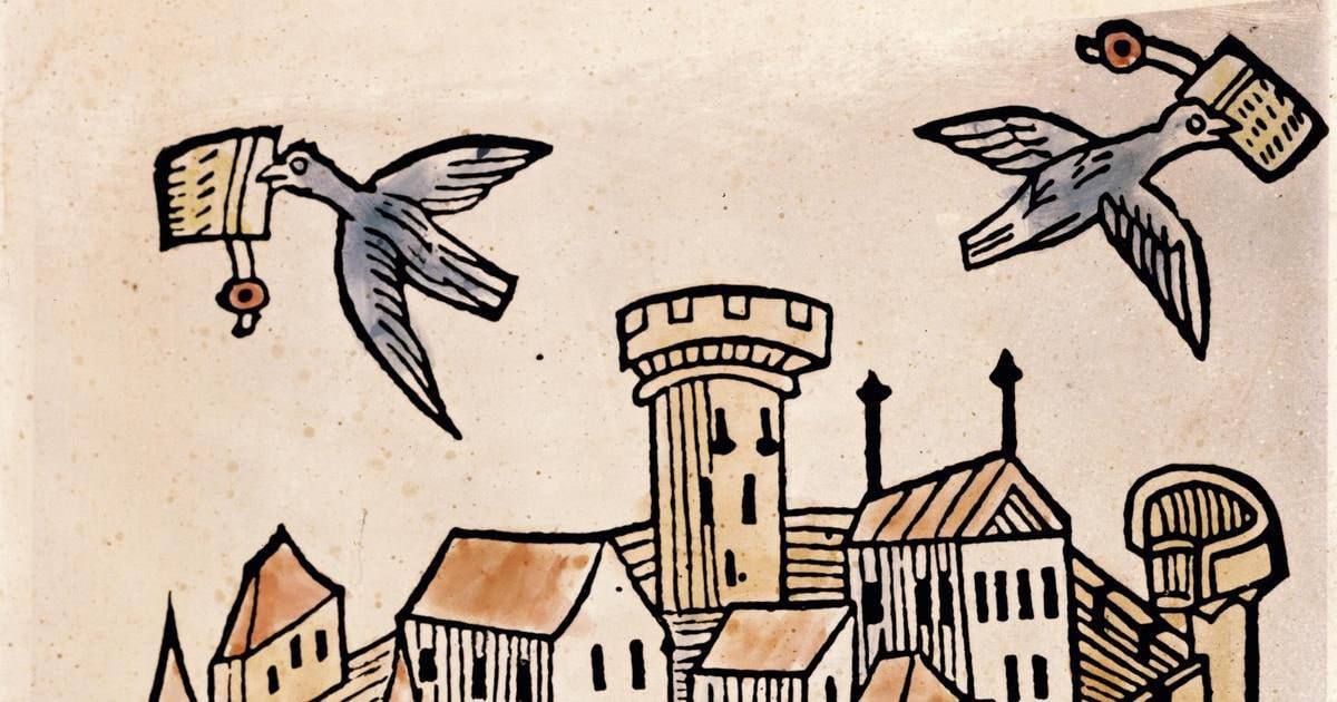 «WhatsApp* умер. Telegram умрет в ближайшие дни. MAX растет», — расстановка сил по словам президента «Ростелекома» Михаила Осеевского