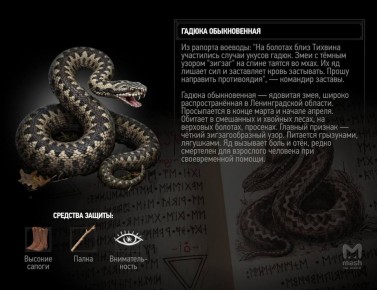 ���������� � �������� ���������, �� ������ ������������ � ������������ ������