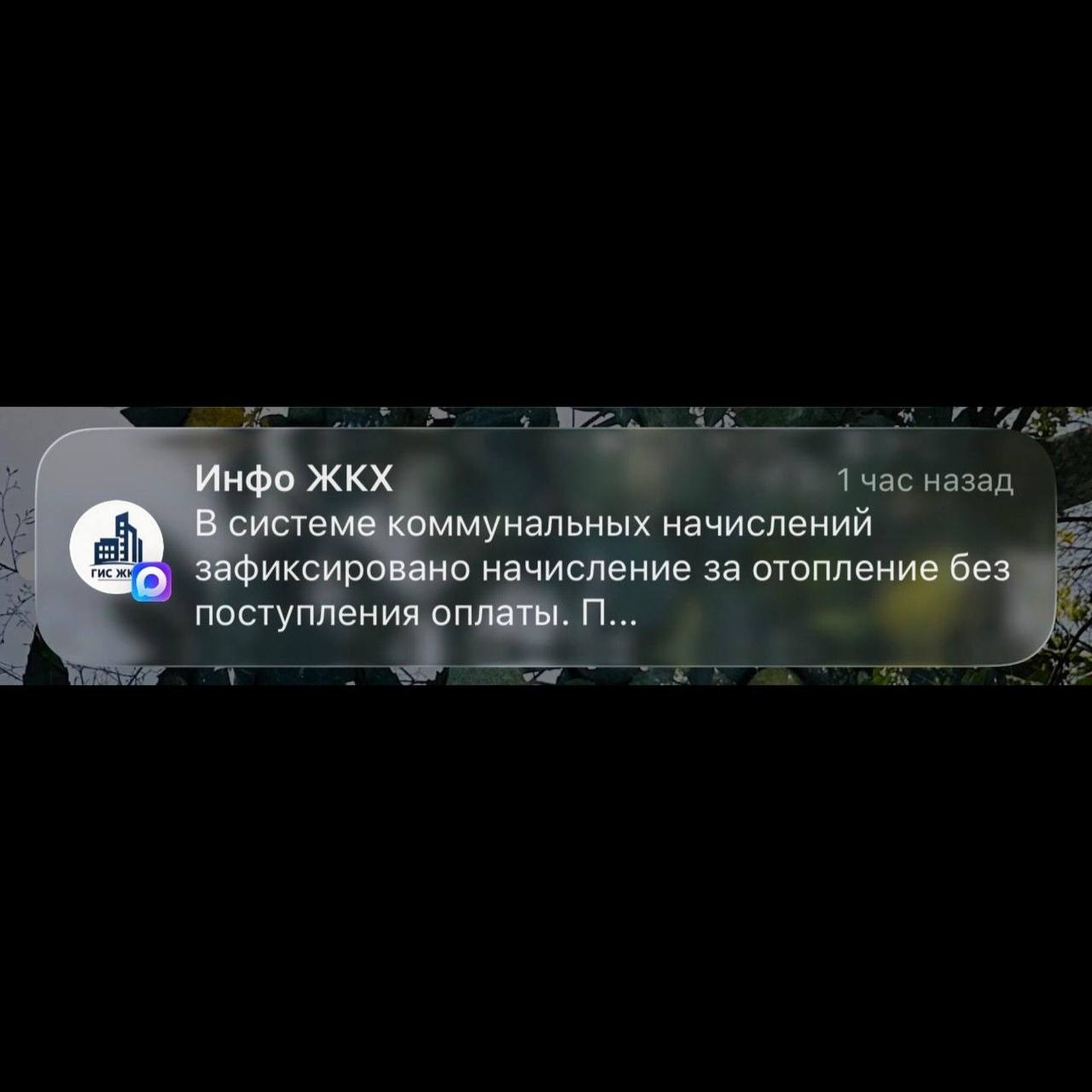 Юрий Баранчик: Мошенники разводят россиян в MAX под видом госслужб