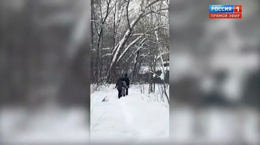 ��������� ������ ���������� ��-6 � ������