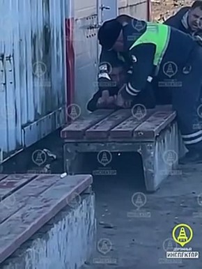 � ��������� ���������� ��� ���������� Volkswagen � 37-������ �������� � ����� ������ �� ����� � ����� ������ � ������