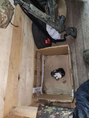 Моменты СВО. Будни фронта