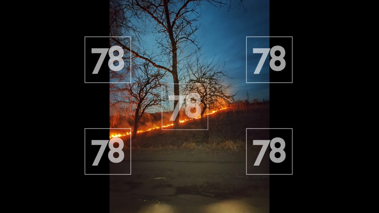 В Гатчине увидели горящую траву