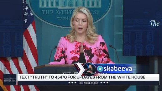 ������������ ����� ����� ����������