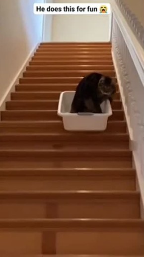 �� ���, ������, ������� ������� � �����������? ������ ���������, ���������� ���� ������ - � ������� :)