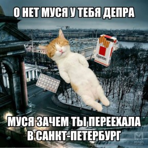 ����� ����� ������������ ����� � ������ � ������ �� ����������� �������� �� ��������� ������