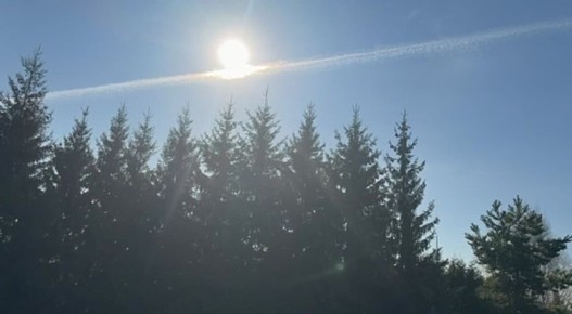 �����. (���� �� ��������,- �� � max