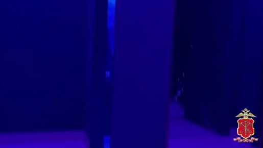 В центре Петербурга полицейские выявили нарушения в баре с «веселящим газом» и контрафактным алкоголем