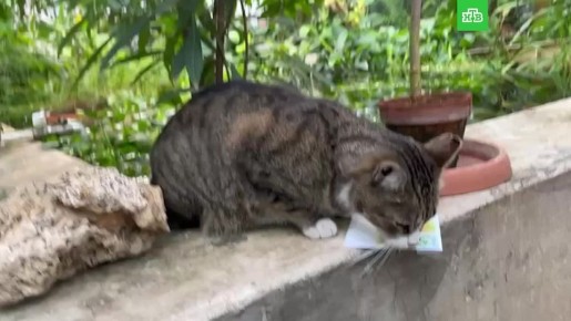 ����� ������������ � ��������� ������� ��������� �����