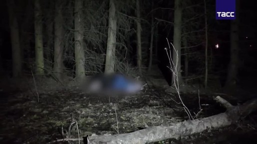 ��������� ������������. ��������� �������� ���������� ��������� ��������� �������� ������ � �����������