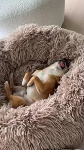 �� � ����������� �������.. ��������� ����, ������! ������