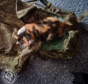 ��� ������: ������� ������ �������