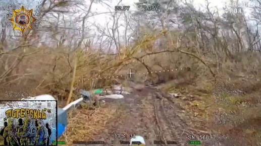 ���� ���������: ����������� �� ����������. ������� �����������